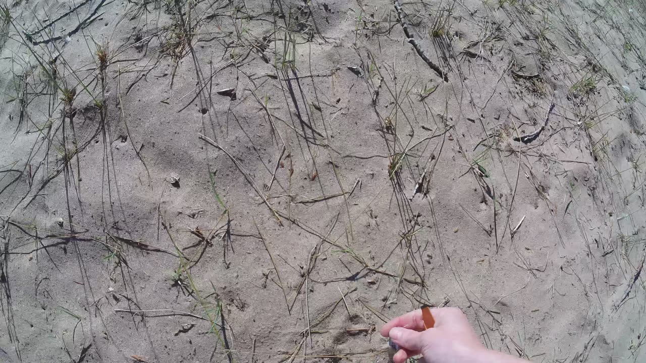 pov: you like to clean the beach