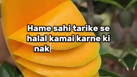 Kon se Nabi kya kaam karte the
