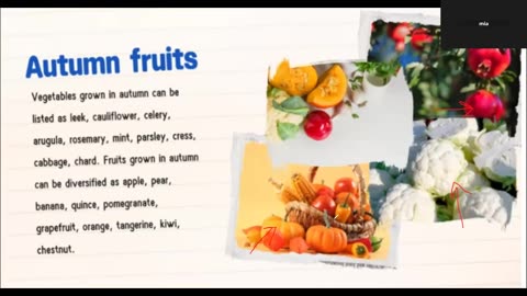The Seasons