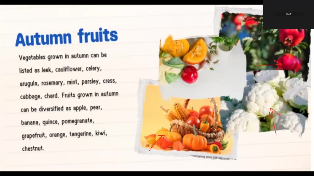 The Seasons