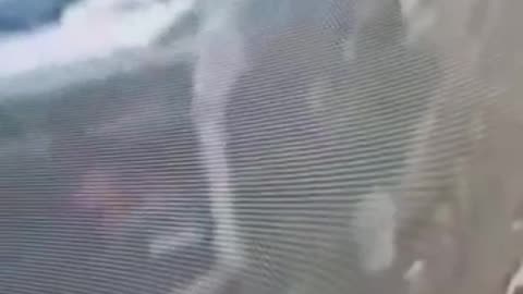 Terrorist attack in Jerusalem