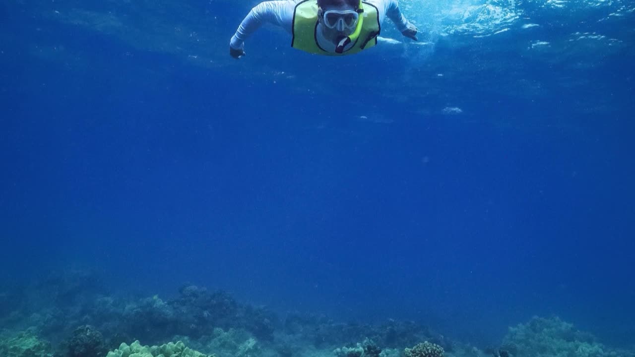 Hawaii, Day Six: Beautiful Snorkeling in the Big Blue Ocean