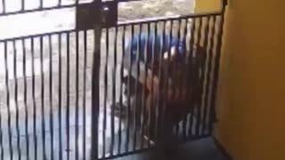Women in Europe (Spain) are not safe.