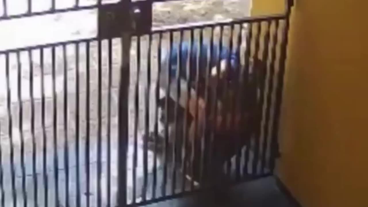 Women in Europe (Spain) are not safe.