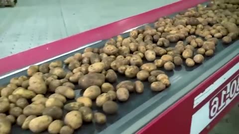 How Millions of Cakes Are Made in a Factory