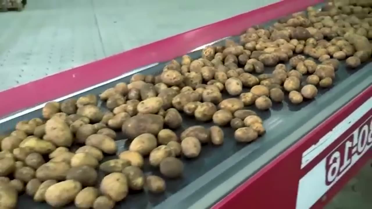 How Millions of Cakes Are Made in a Factory
