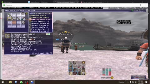 Playing Final Fantasy XI Online