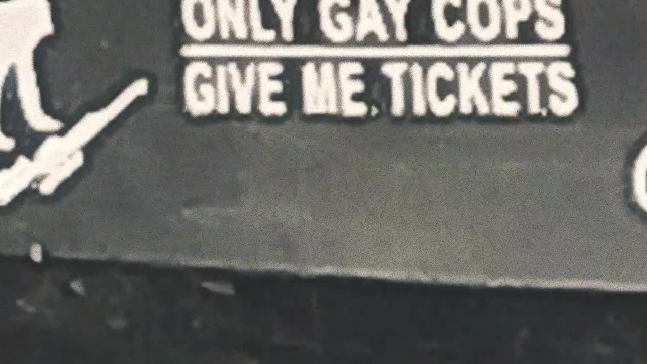 Best Bumper Sticker Ever!