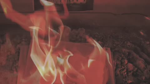 Tim Rifat TikTok Videos