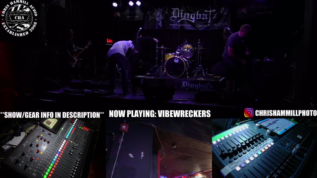 LIVE FOH - Dayglo Abortions, The Vibewreckers, Weird Goo