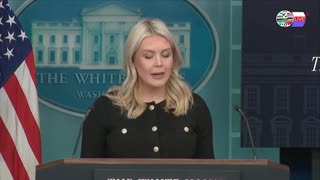 TWO CATS U.S. POLITICAL NEWS