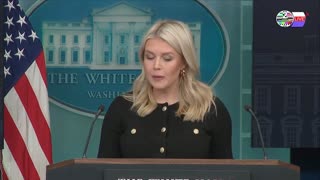 TWO CATS U.S. POLITICAL NEWS