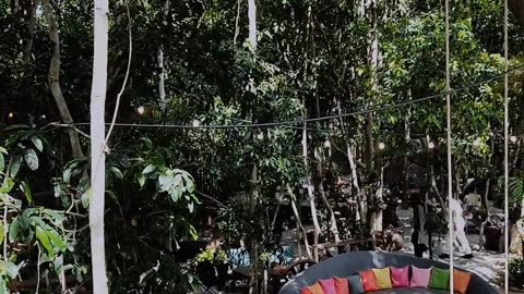 Cafe Nature