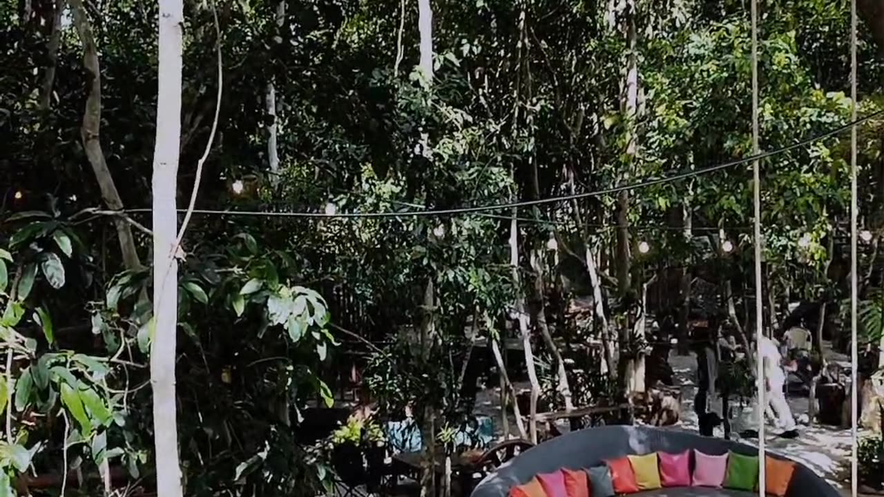 Cafe Nature