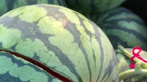 simple way to split a watermelon