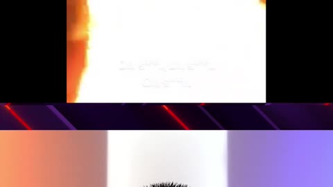 Tips To Avoid A Thanksgiving DISASTER 🏠🔥🦃