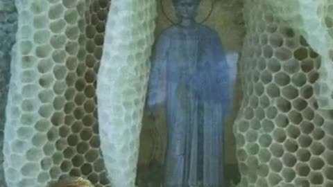 BEES IN GREECE BUILT HONEYCOMB AROUND RELIGIOUS ICONS PLACED IN THEIR HIVES LEAVING THE FACES & BODIES UNCOVERED