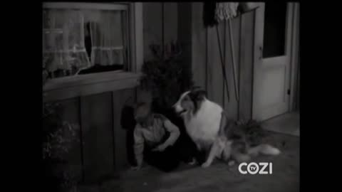 Lassie - Episode 197 - 'Star Reporter