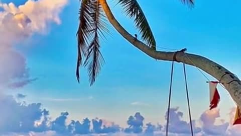 Sea cradle