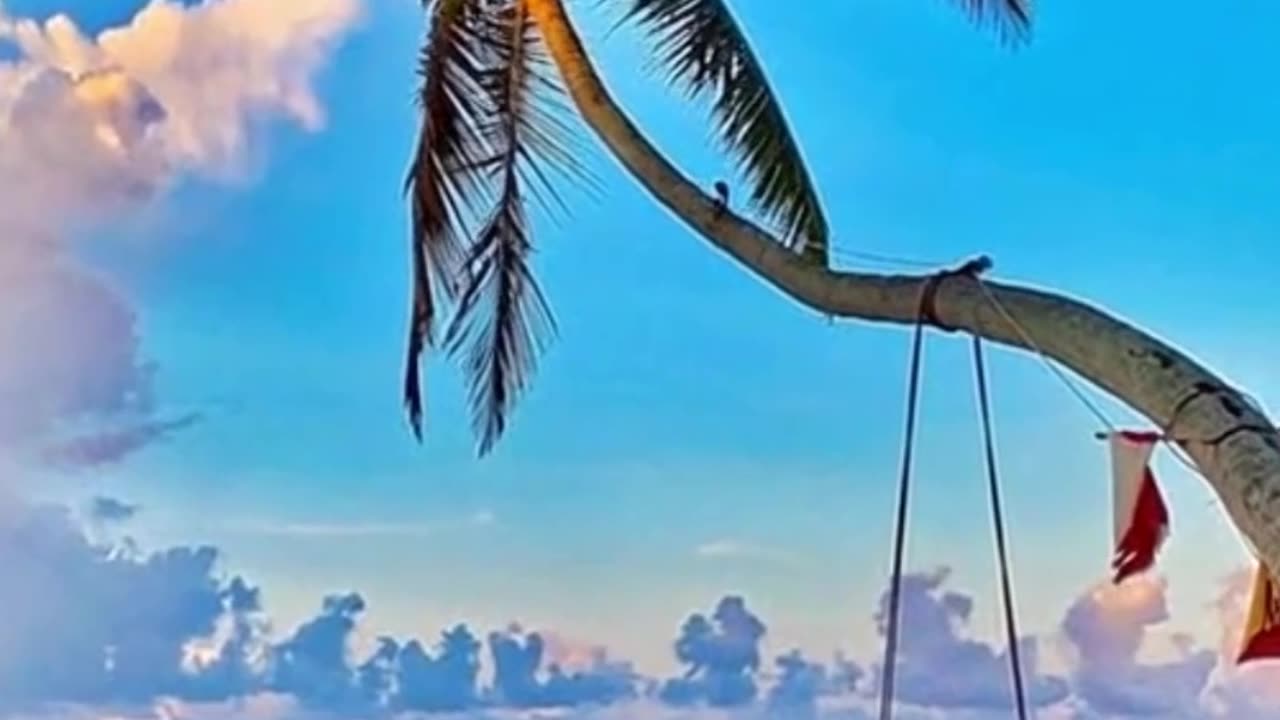 Sea cradle