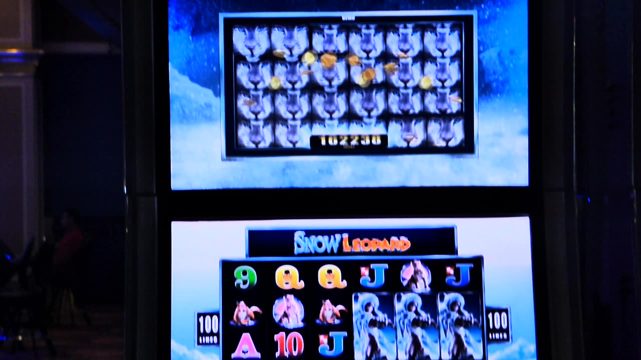 So many snow leopards on this casino game!!!!