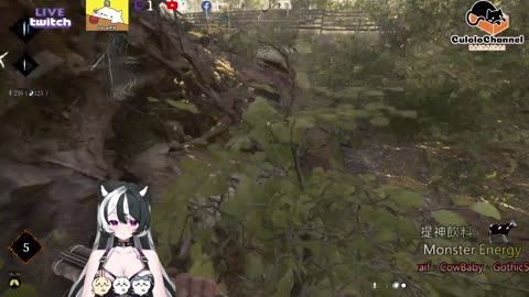 🌱vs🧟‍♀️ New version⭐新手向⭐🥺倉鼠系玩家🥺| 來聊天R ✨💎(๑˃̵ᴗ˂̵)و Culolo Channel(๑˃̵ᴗ˂̵)و 5 Taiwan優質台💎✨