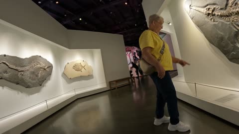 Houston Museum of Natural Science Part One