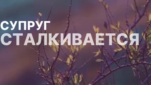 Как укрепить семью через веру в Аллаха. Твоя дорога в Мекку начинается здесь