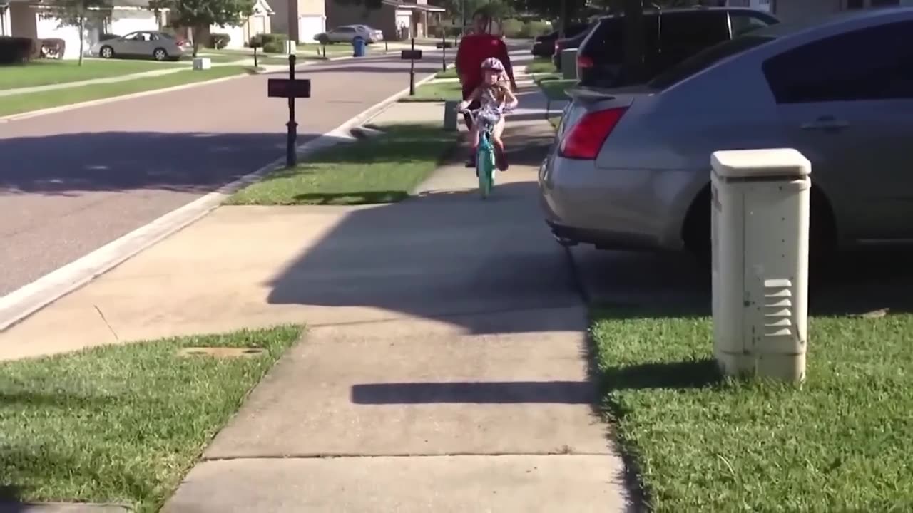Funny Compilation