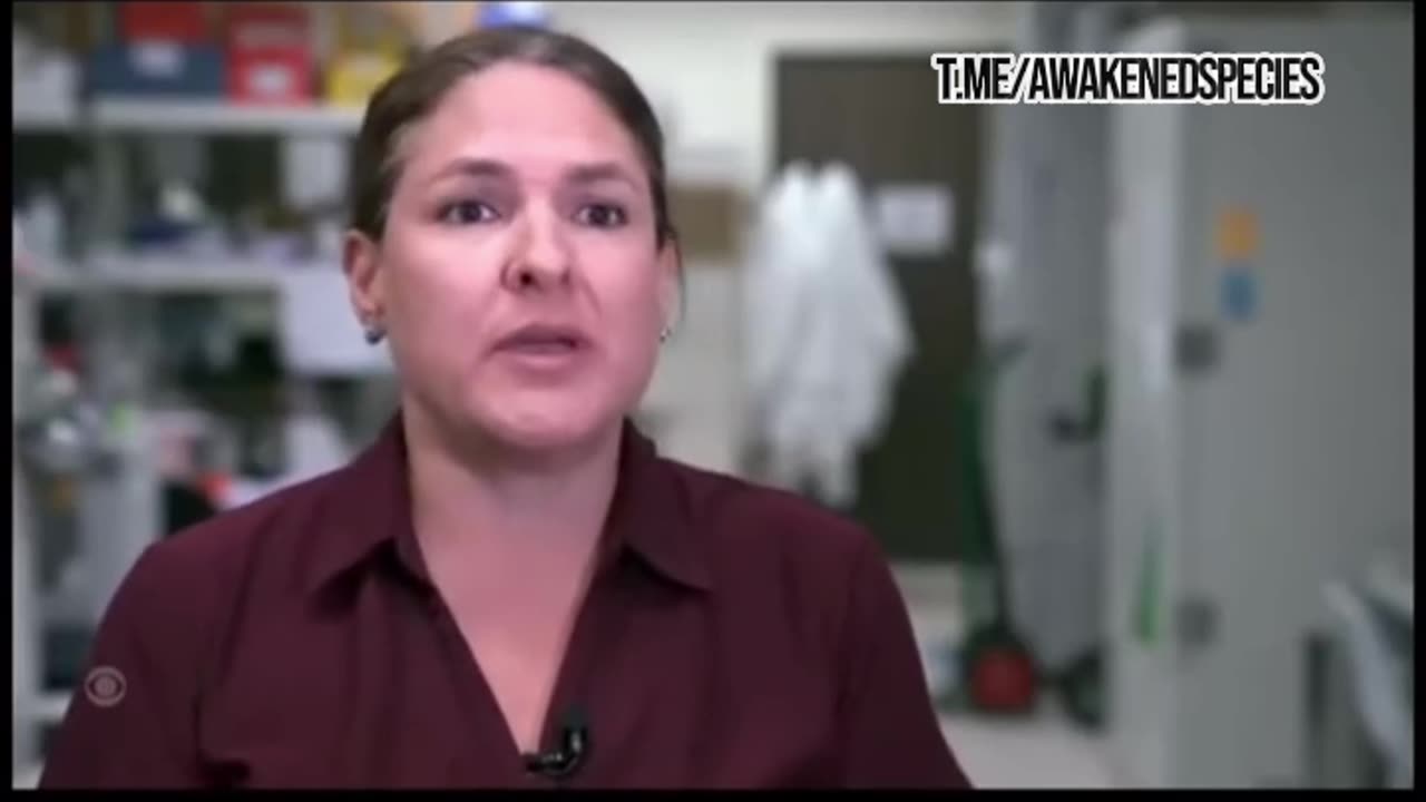 What is happening with the Bees? Is there a purposeful attack on the food chain?