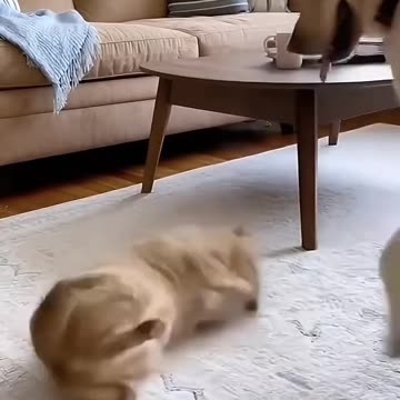 Prank with my buddy🤣