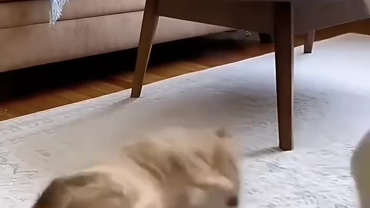 Prank with my buddy🤣