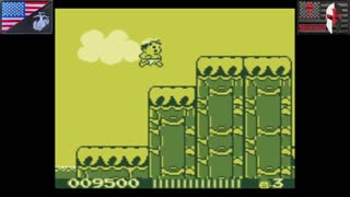 Adventure Island (Nintendo Game Boy - 1992) [NA Version of "高橋名人の冒険島II"]