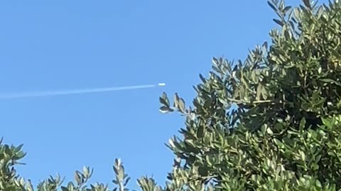 Caught spraying 7-14-25 OBX NC