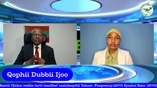Qophii Dubbii Ijoo ONM-ABO Fulbaana 7-2025 itti dhiyaadhaa!