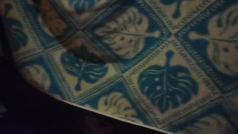 My bedroom and possible future Motovan?