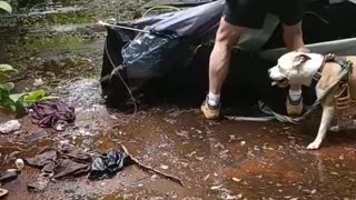 Irish patriots dismantle illegal asylum seeker camps nearby where kids play.