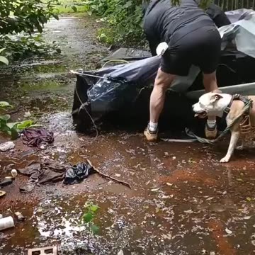 Irish patriots dismantle illegal asylum seeker camps nearby where kids play.