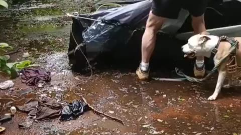 Irish patriots dismantle illegal asylum seeker camps nearby where kids play.