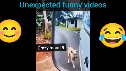 Unexpected funny videos