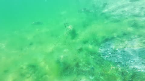 Kayak on The South Side, PT - Margem Sul, S02E08 LAGOA de ALBUFEIRA 29th of July 2K25 Part 4.1