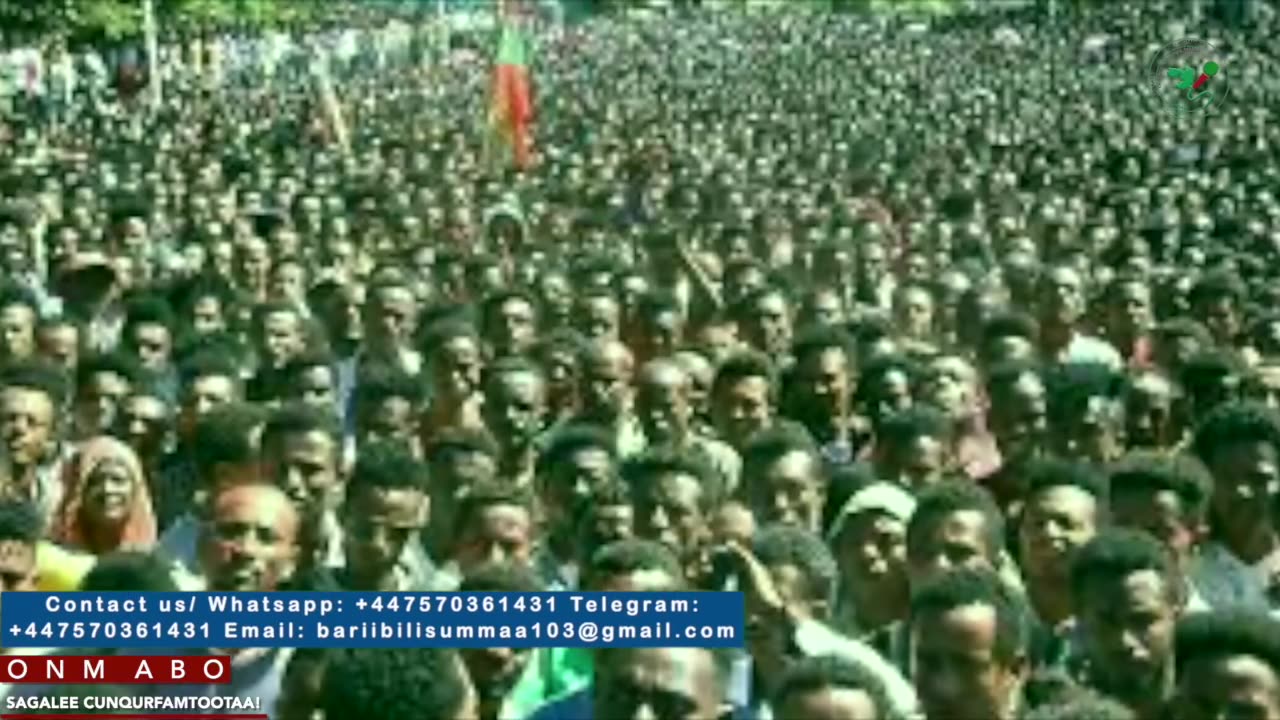 Qophii Addaa ONM-ABO Adoolessa 26-2025itti dhiyaadhaa!