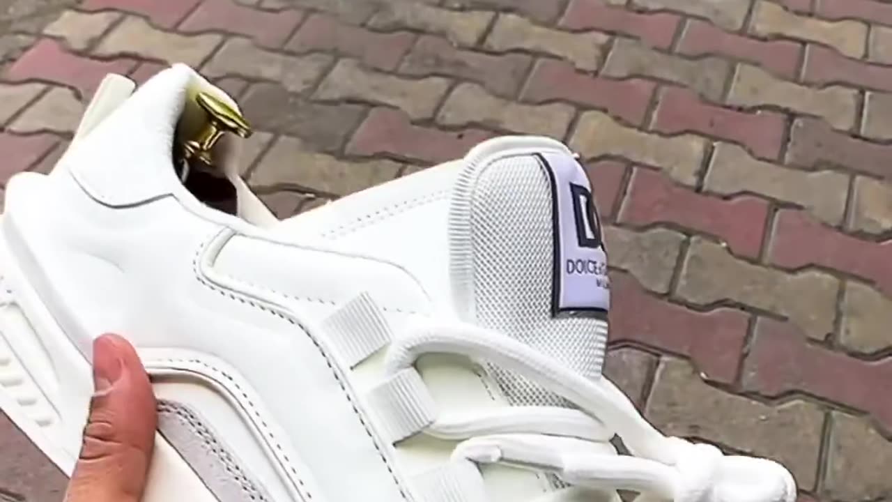 funnyvideosdaily