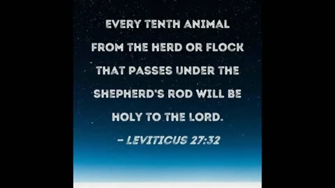 It's Been A Sheep to Sheep Judgment (1/10 Holy-Red Dyed)! But In Great Tribulation Heaven's Predestined Salvations EXPLODE (Matt. 25's Sheep to Goats Parable / Rev. 6 / Amightywind Prophecy 33 & Pearl Dream) GREATEST HARVEST EVER