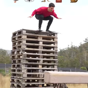 If animals did Parkour 😂 Part 4