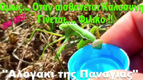Οταν #Σεβεσαι τη #Φυση, Αυτη, στο #Ανταποδιδει 👍