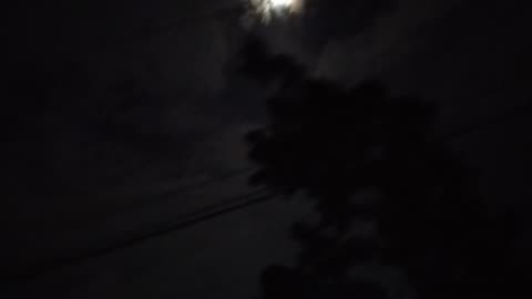 Part 3: "Night Walk Diaries Part 3: Hidden Corners and Late-Night Stories"