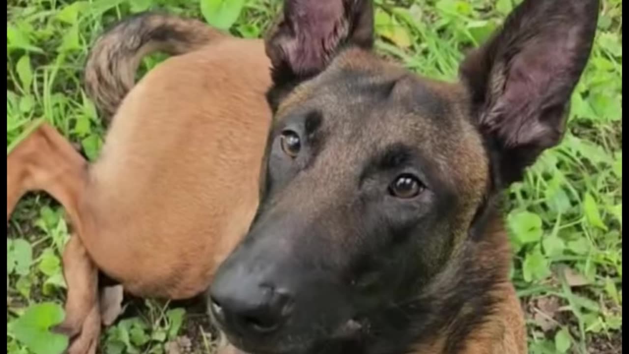 Dutch Matthews, Marine, Tactical Weapons Instructor