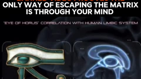 The door from brain to life| CrypticCMystery #ancientrelics #horror #history #historicalmyths #facts