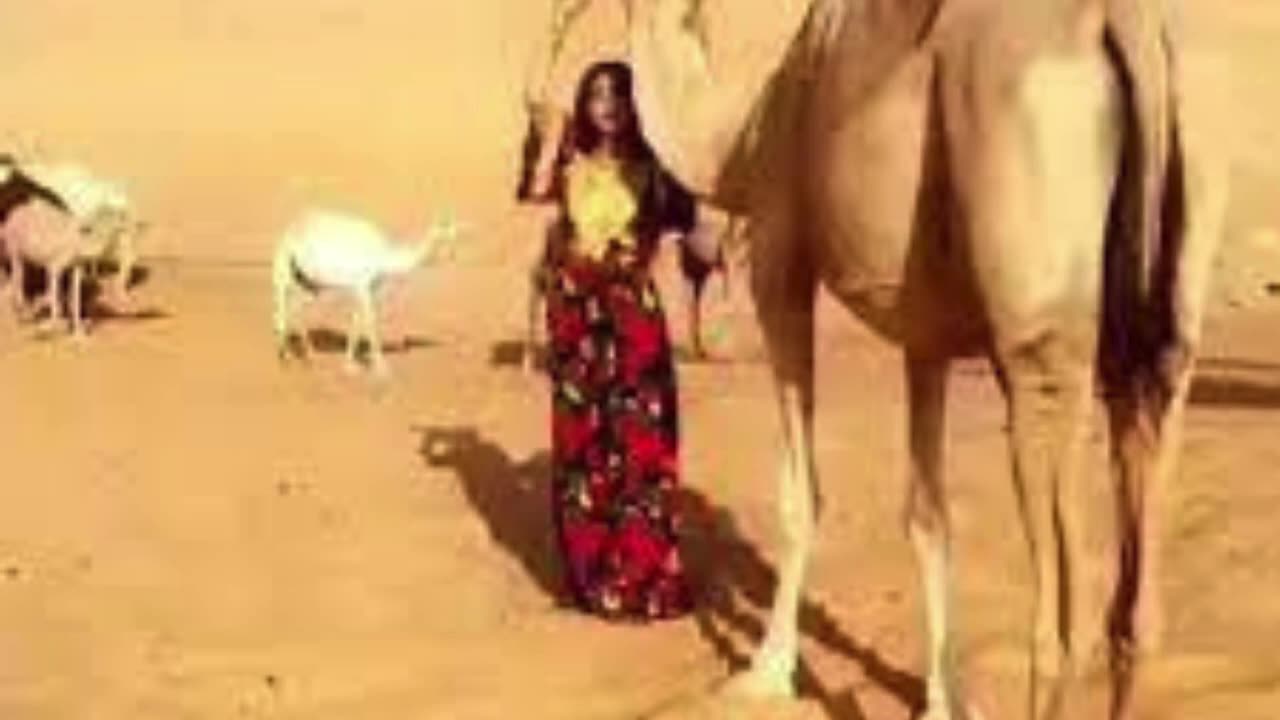 قصة من البادية السعودية 🐪🐪قصة امنه اخوها🐪🐪